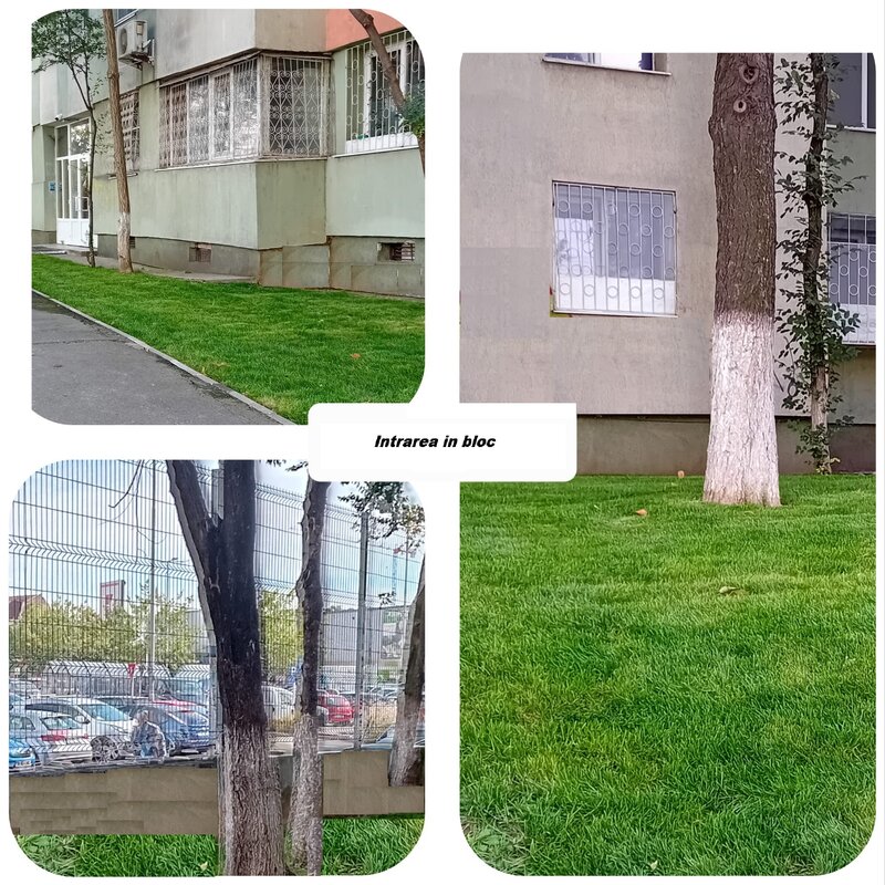 Obor - Kaufland Colentina